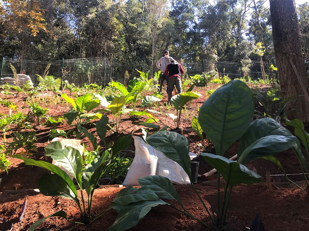 Implantação de Jardins