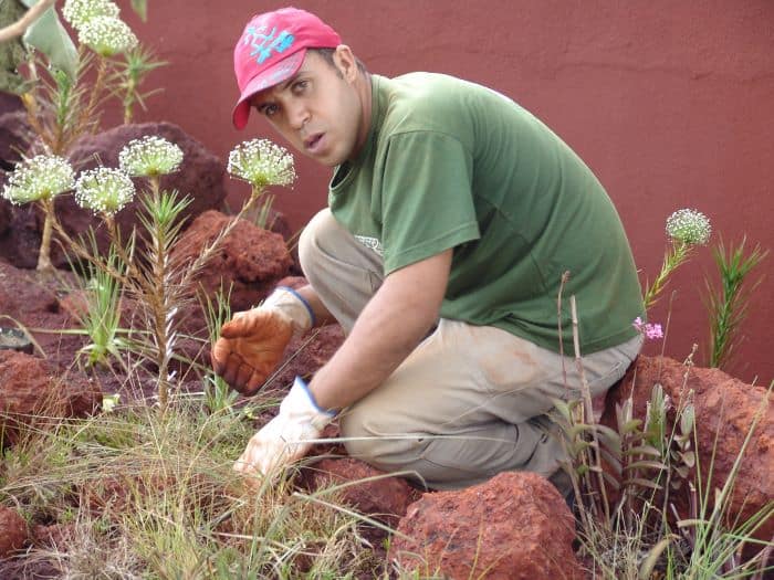 Implantação de Jardins